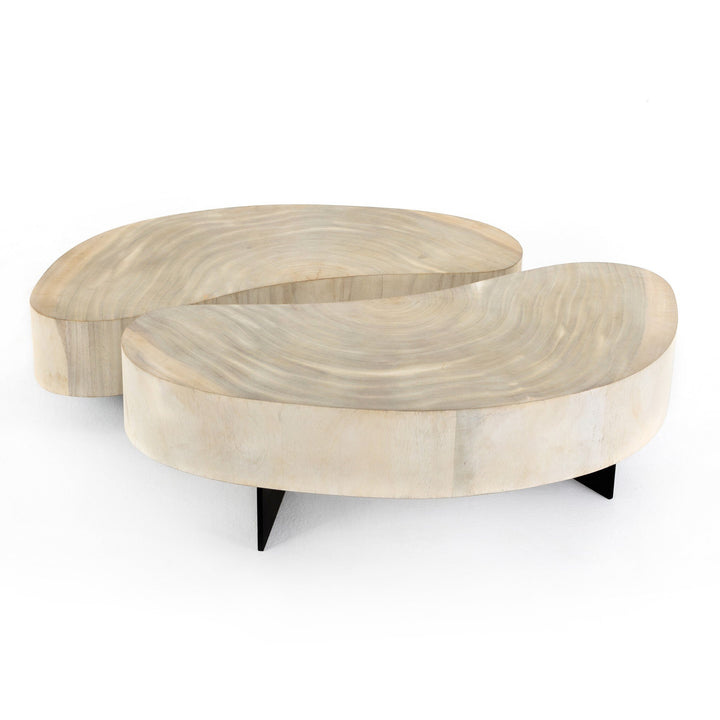 Av Coffee Table